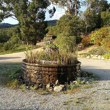 Casa Mas Gran 3*