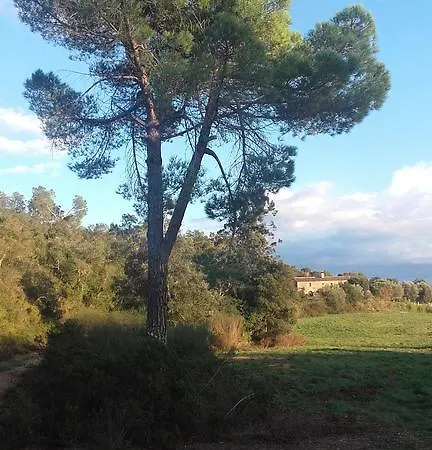 Hotel Casa Mas Gran Santa Cristina d'Aro