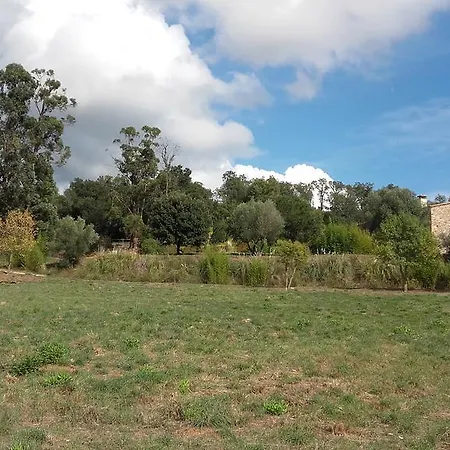 Casa Mas Gran מלון 3*