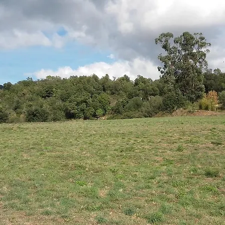 מלון Casa Mas Gran 3*