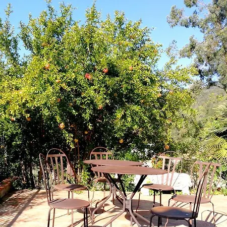 מלון Casa Mas Gran סנטה כריסטינה ד'ארו