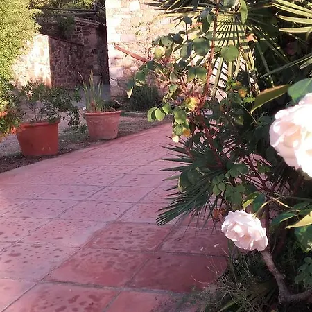 Casa Mas Gran 산타 크리스티나 다로