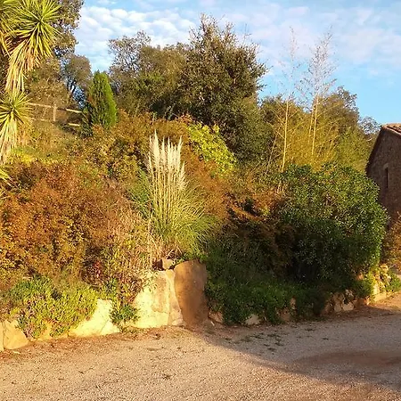 Casa Mas Gran 호텔